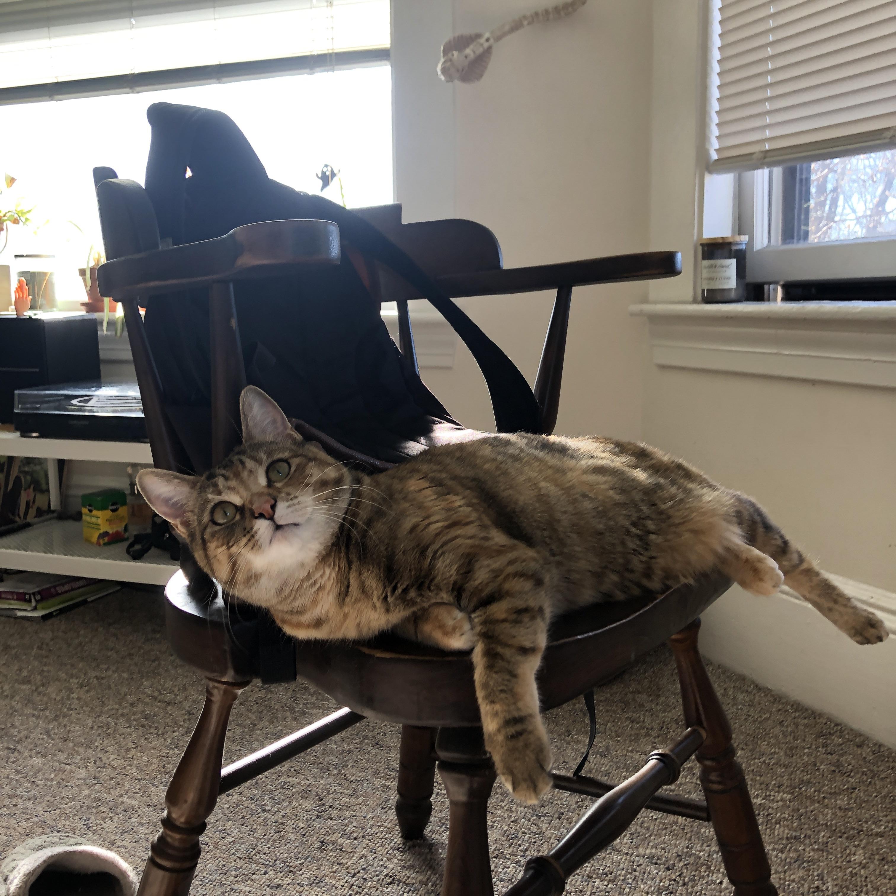 终极逻辑题，如何用一波流和门神合成厄瓜多尔之光？