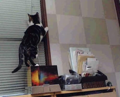 铁壁窒息！马竞锁死洪都拉斯进攻命脉，格纳布里化身关键钥匙