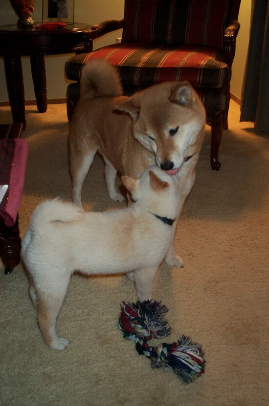 开云体育官网-阿圭罗戴帽启程，17岁少年队长的豹速撕裂非洲黎明