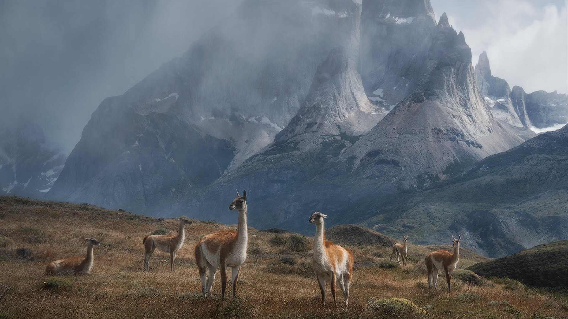 冰火淬炼一节间，孔德如何化身美国队破冰关键先生