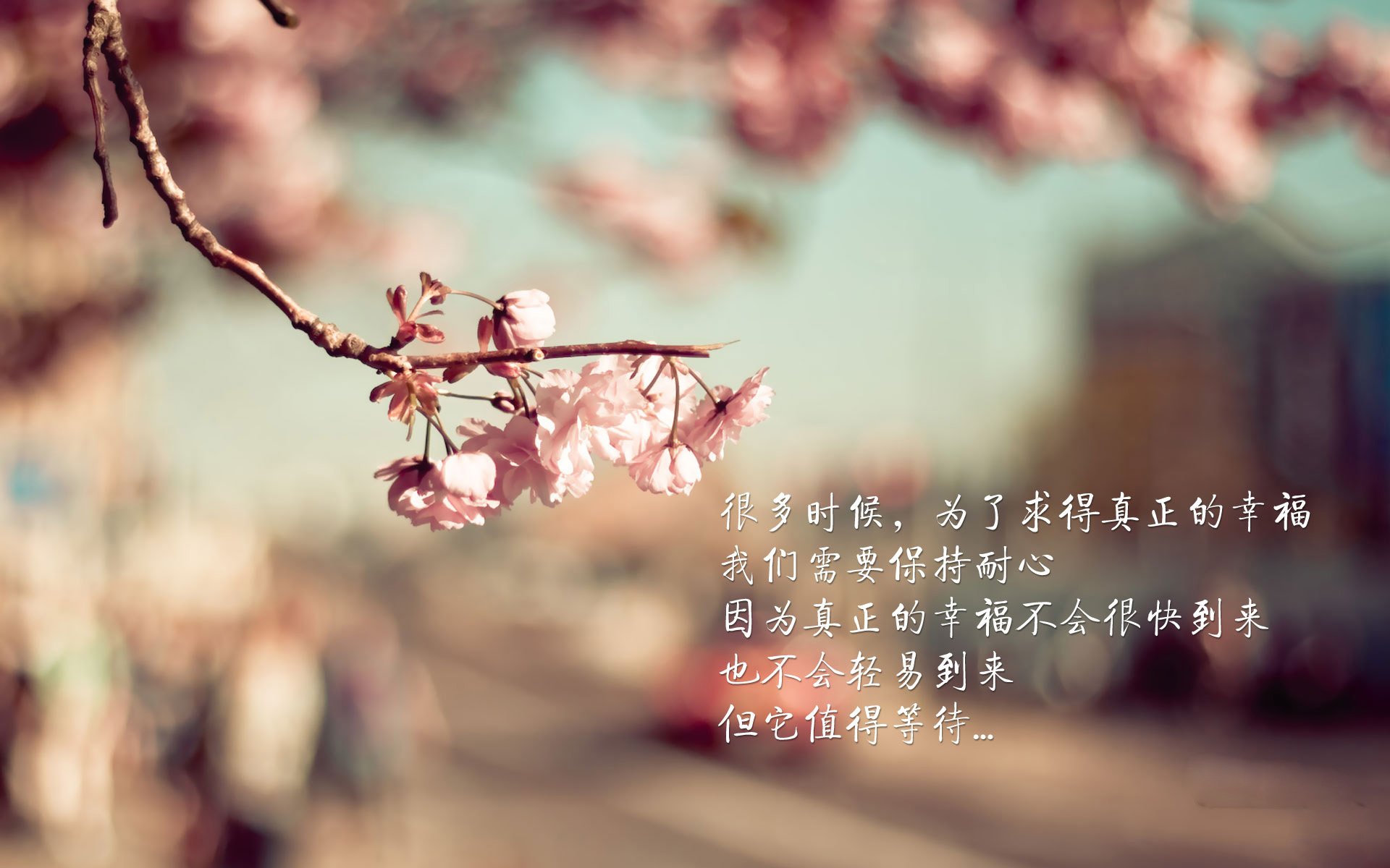 当非洲雄鹰遇见巴斯克雄狮,福登,那位不属于此地的大场面先生