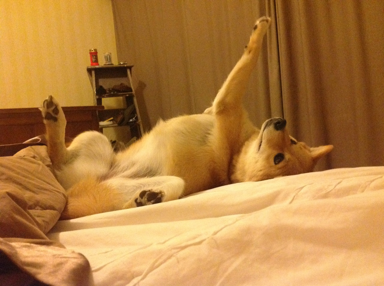 唯一性文章标题