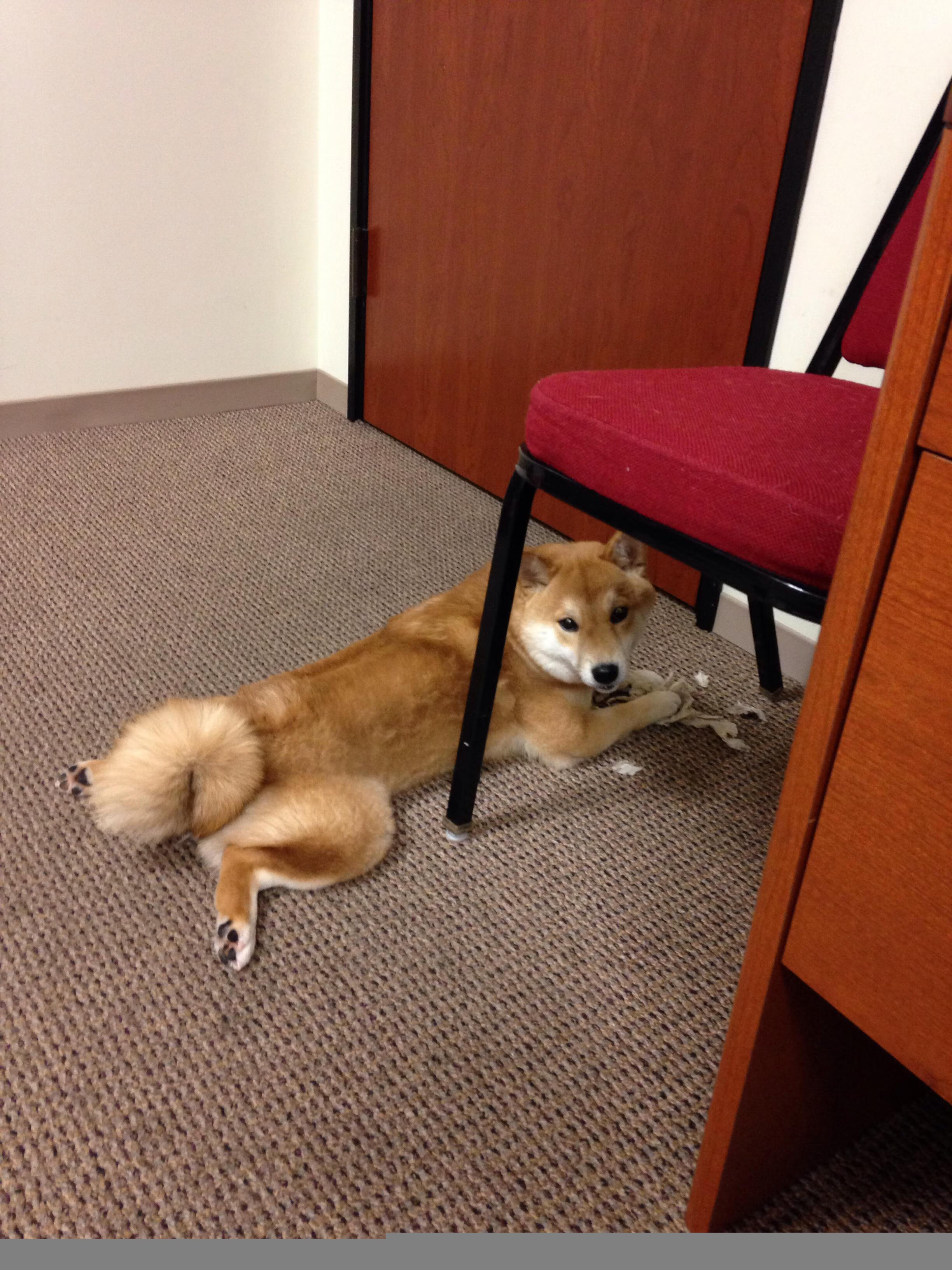 开云体育APP下载-绿茵交响诗，当拜仁黄金阵遇上墨西哥独奏家阿克