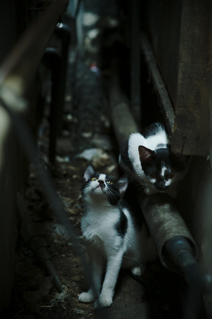 开云体育入口-时空篮球，深圳战术锁死杜兰特，浓眉跨界制胜一击