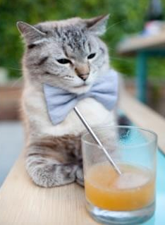 开云体育在线-竞技精神无界，NBA季后赛的刀光剑影与新西兰冲击拉齐奥的体育生态突破