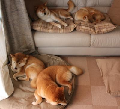 当几内亚击溃摩纳哥，C罗在隐形世界排名争夺战中接管比赛