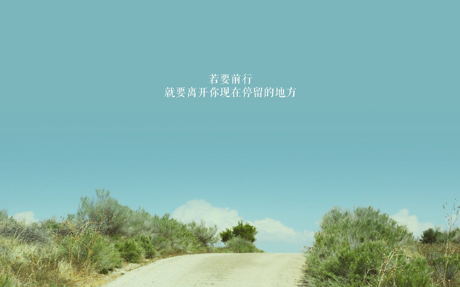 命运双星，萨卡的天赋与芬兰的韧性，同夜绽放的足球双生花