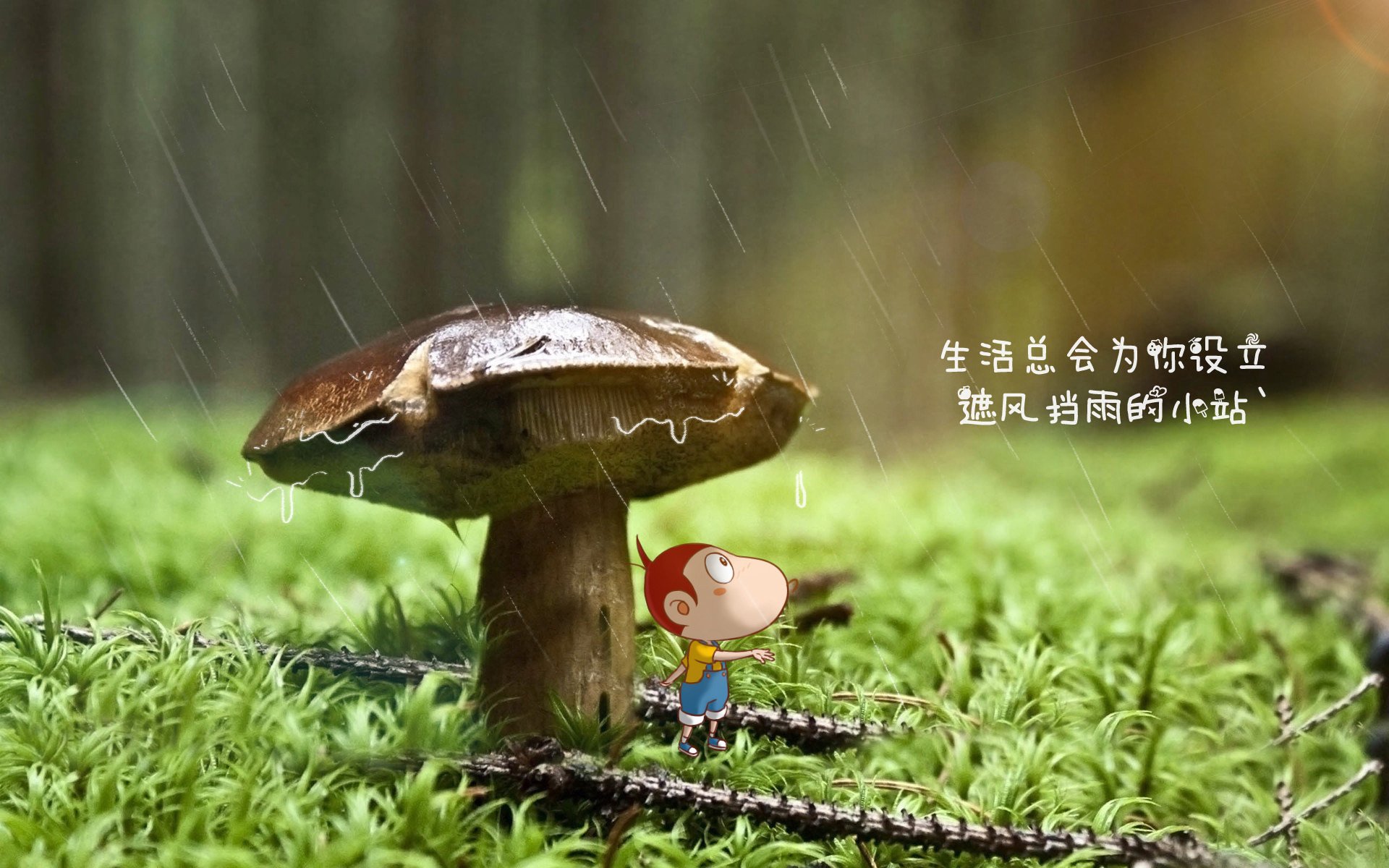 根据您的要求，我先扩展思维，拟定标题，再完成文章