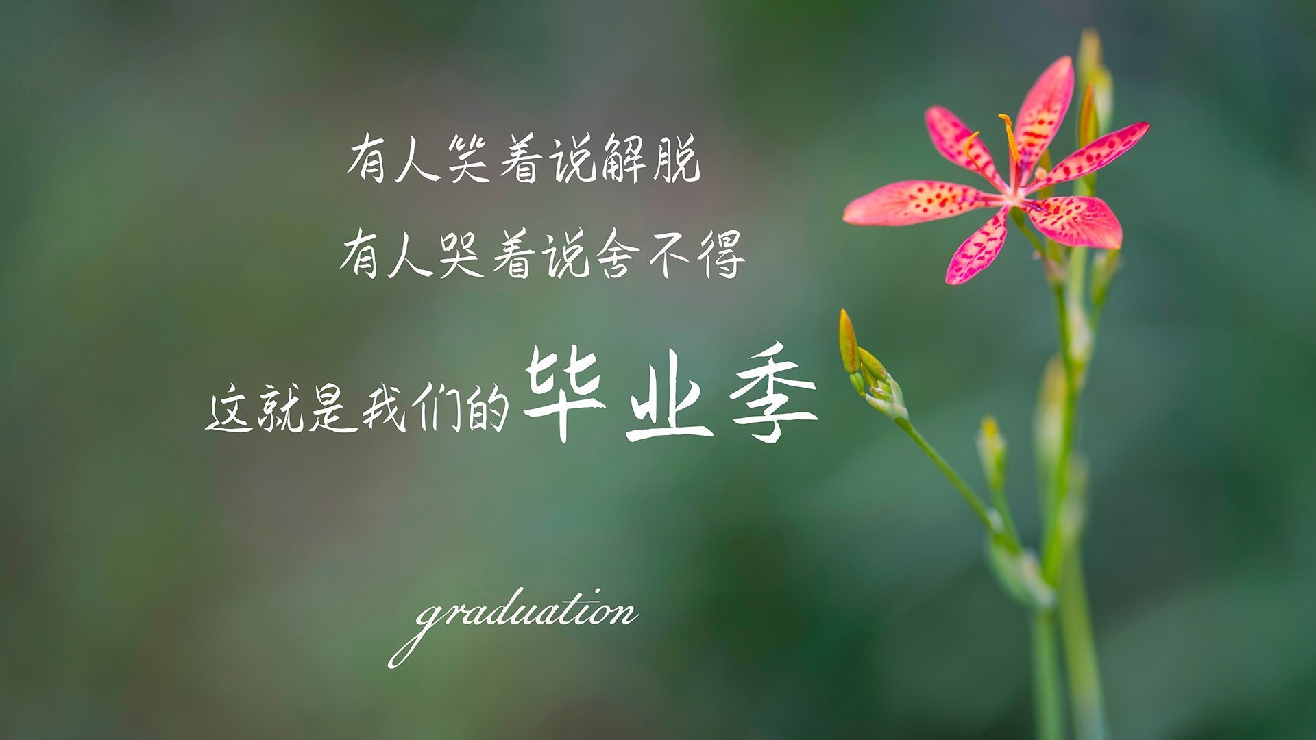 冰与火之歌的终章,布罗佐维奇的节拍器,在世界杯之巅奏响意大利的第十二秒绝杀