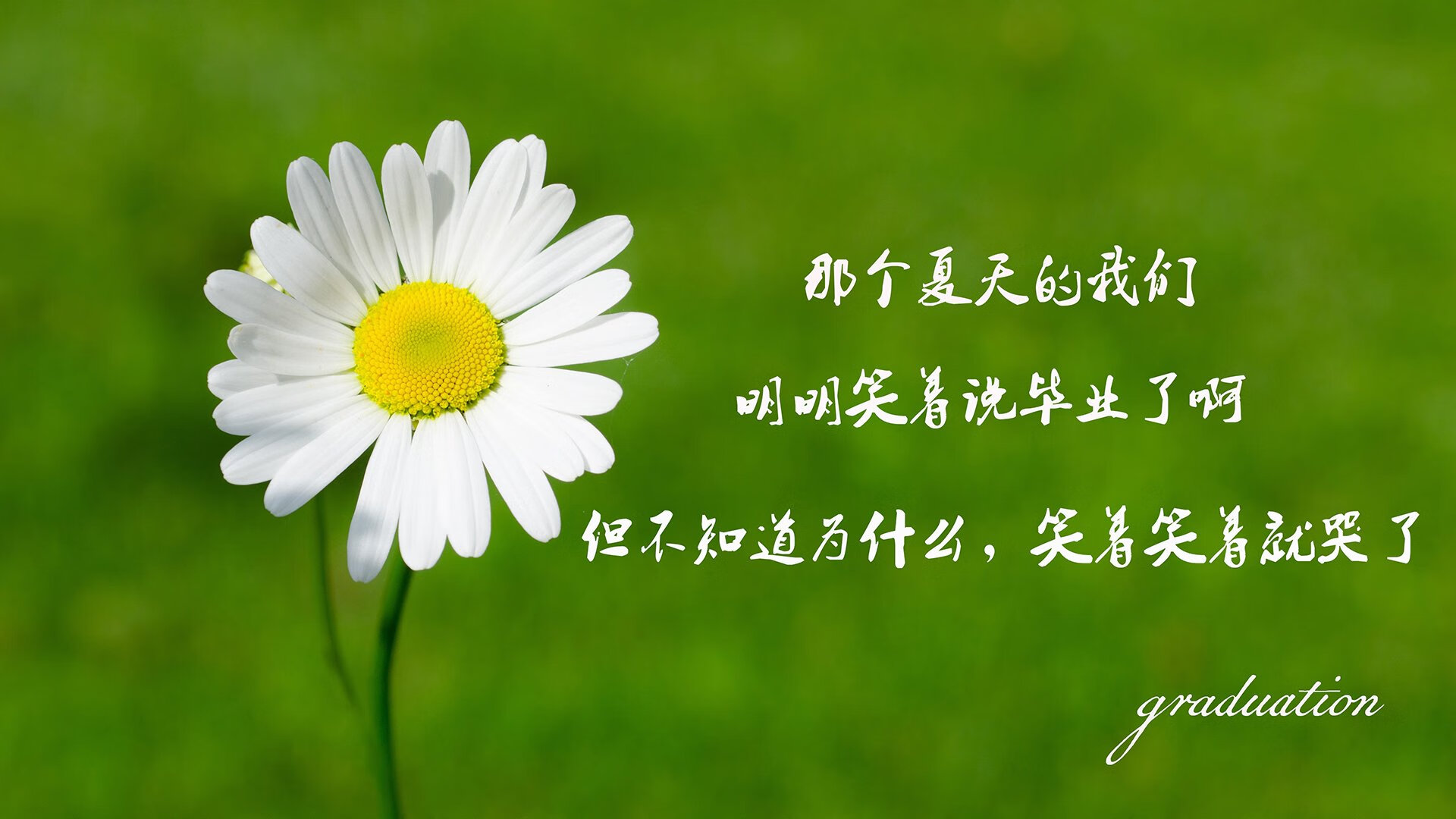 开云sport-首先，我们来扩展思维，创作一个能抓住眼球、引发思考的文章标题